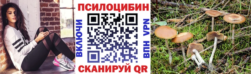 Галлюциногенные грибы MAGIC MUSHROOMS  Купить где  Слюдянка 